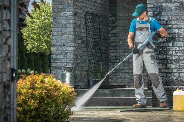 Best Roof Cleaning and Mildew Removal in Providence Village, TX